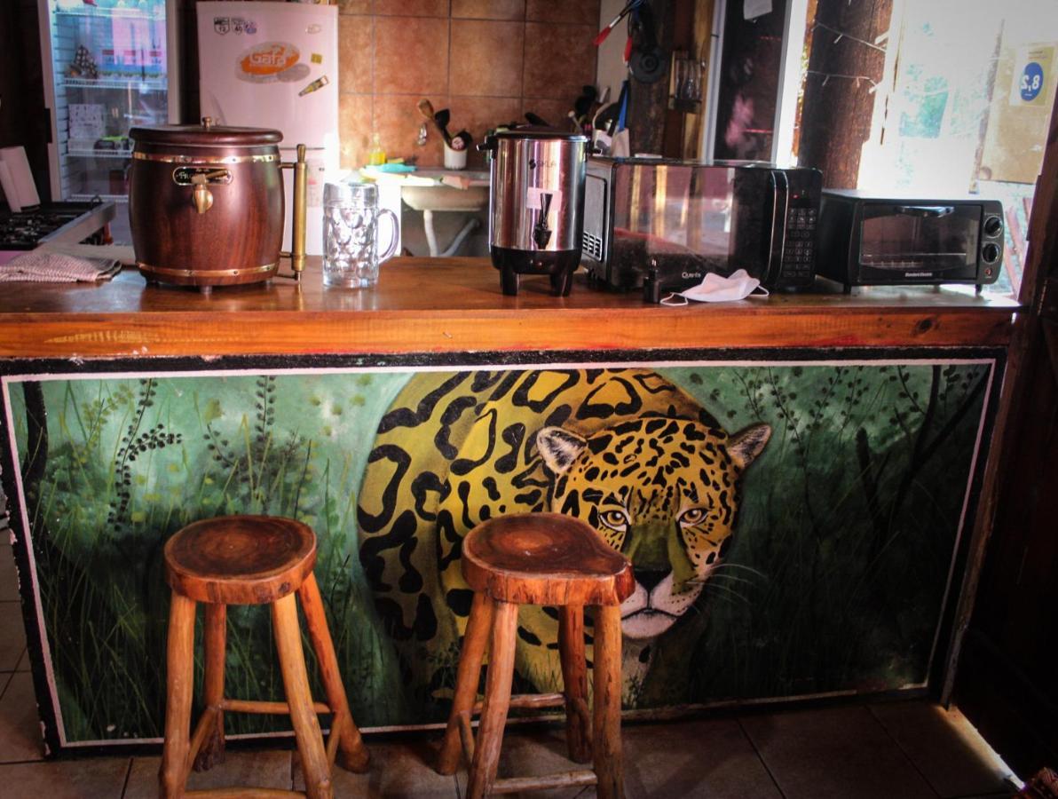 Hostel Krieger Hauss ปูแอร์โตอีกวาซู ภายนอก รูปภาพ
